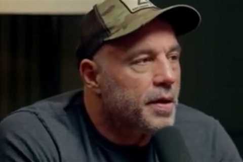Joe Rogan Reveals the Reasons He Decided to Interview Trump on His Podcast Before the Election..