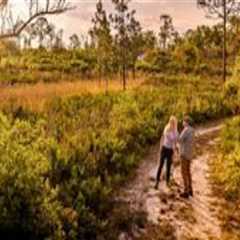 The Virtual Community Experience in Central Florida