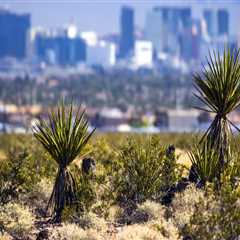 The Political Powerhouse of Clark County, Nevada: A Look at the Influential Politicians in the US..