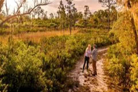 The Virtual Community Experience in Central Florida