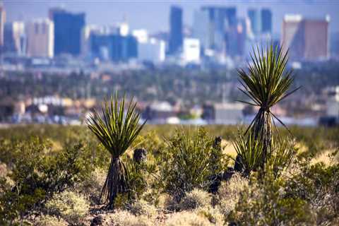 The Political Powerhouse of Clark County, Nevada: A Look at the Influential Politicians in the US..