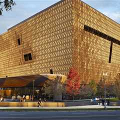 The Enduring Legacy of African Americans in Washington DC