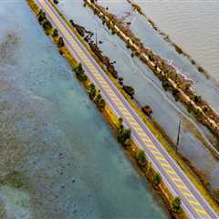 The Political Divide: Environmental Issues and Climate Change in Fayette County, Georgia