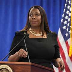 Online Age Verification Rules: New York’s Detailed Plans