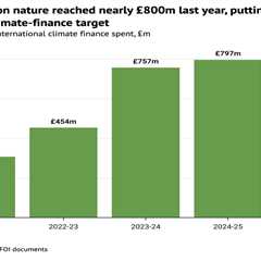 Analysis: UK foreign aid for nature hits £800m record due to cash for carbon credits
