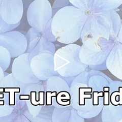 FEET-ure Friday | Nice Man with Long Nails at the Shelter