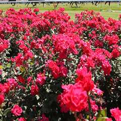 Experience the Best Family-Friendly Celebrations in Monmouth County, New Jersey