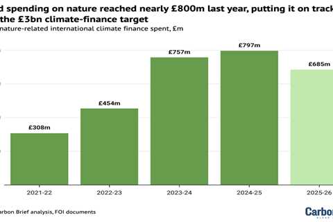 Analysis: UK foreign aid for nature hits £800m record due to cash for carbon credits
