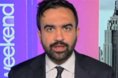Zohran Mamdani Wants to Spend $100 Million in NYC Tax Dollars on Increased Services for Illegal..