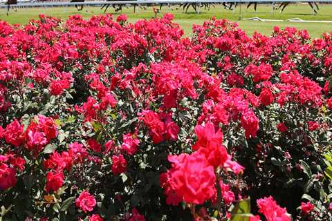 Experience the Best Family-Friendly Celebrations in Monmouth County, New Jersey