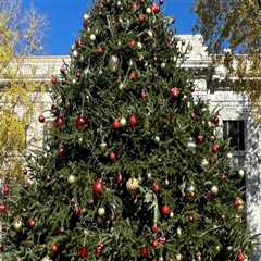 Experience the Magic of Christmas in Hamilton County, Tennessee