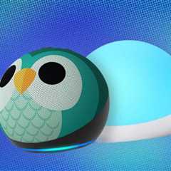 5th Gen Kids Owl Echo Dots and Echo Glow 50% Off Now