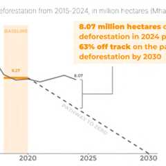 World failing on goal to halt deforestation by 2030, raising stakes for Amazon COP