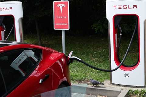Tesla Increases Prices as Government Cash Support Ends