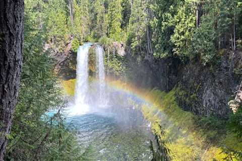 The Legal Process of Dissolving Political Committees in Western Oregon