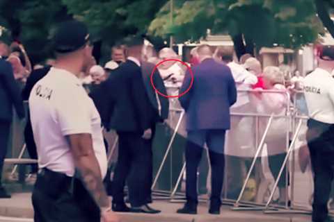 Would-Be Assassin of Slovak PM Robert Fico Convicted of Terrorism Charges, Sentenced to 21-Year..