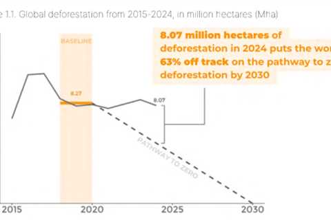 World failing on goal to halt deforestation by 2030, raising stakes for Amazon COP