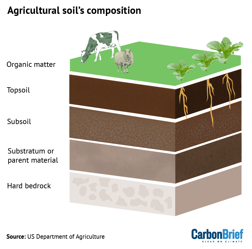 Q&A: The role of soil health in food security and tackling climate change