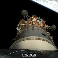 Heidi Klum’s Petrifying Medusa Costume for Halloween 2023