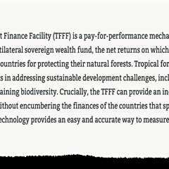 COP30: Could Brazil’s ‘Tropical Forest Forever’ fund help tackle climate change?