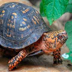 Navigating the Refund Policy for Youth Events in Southern Maryland