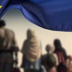 European Survival: Why the Only Thing Left is to Fight against Illegal Immigration and Organized..