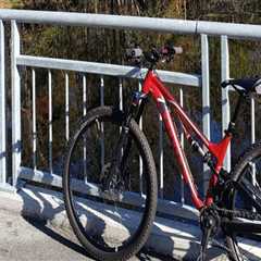 Bike-Friendly Hotels in Leon County, Florida: A Must for Bike Festival Participants