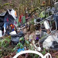 Navigating the Obstacles of Political Advocacy in Multnomah County, Oregon