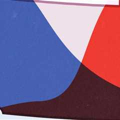 The Power of Political Campaigns in Northeastern Illinois