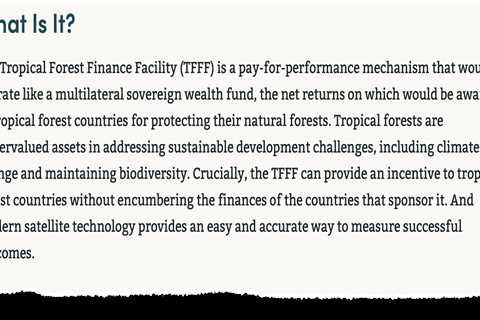 COP30: Could Brazil’s ‘Tropical Forest Forever’ fund help tackle climate change?