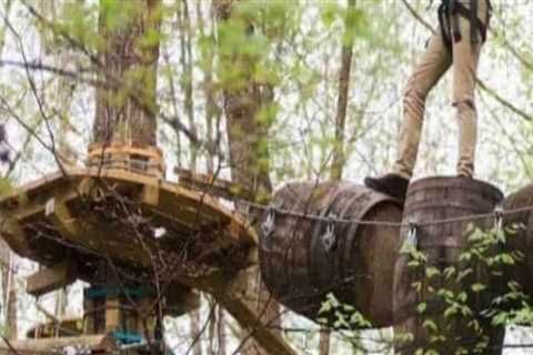 Exploring the Vibrant Cultural Events in East Tennessee