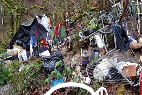 The Crucial Role of Political Advocacies in Promoting Healthcare Access in Multnomah County, Oregon