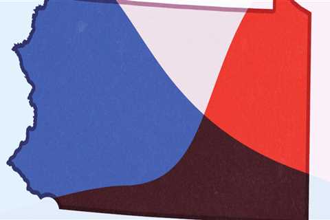 The Power of Political Campaigns in Northeastern Illinois