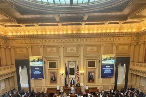 The Evolution of Democratic Campaigns in Northern Virginia: A First-Hand Perspective