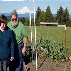 The Debate Over Term Limits for City Officials in Damascus, Oregon