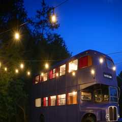 Exploring Middle Tennessee: Themed Bus Tours - A Local Expert's Perspective