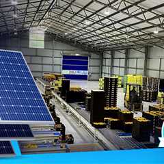 How Sparacino Farms Saved Thousands with Cyanergy Solar?