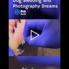 Dog Sledding and Photography Dreams ❄️📸