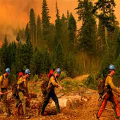 Environmental Issues in Election Campaigns: Insights from North Central Colorado