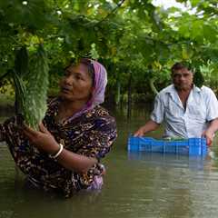 Women must be a starting point, not an afterthought, for adaptation
