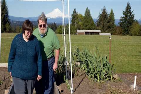 The Debate Over Term Limits for City Officials in Damascus, Oregon