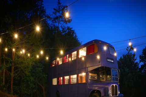 Exploring Middle Tennessee: Themed Bus Tours - A Local Expert's Perspective