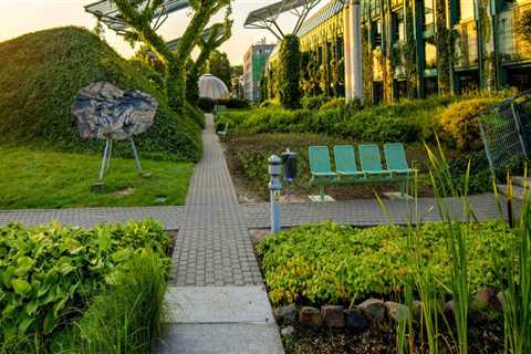 Strategies of Council Candidates in Western Washington to Tackle Population Growth and Urbanization