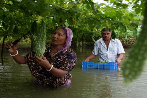 Women must be a starting point, not an afterthought, for adaptation