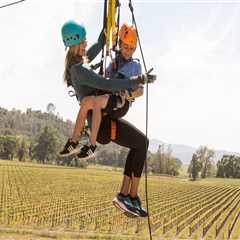 A Comprehensive Guide to Family-Friendly Wine Events in Central California