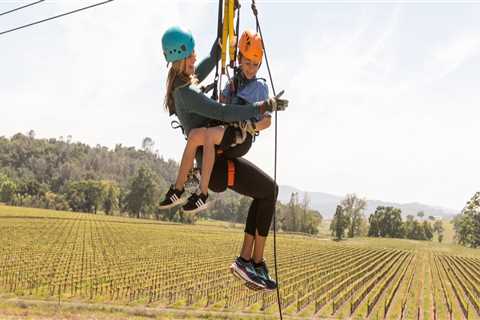 A Comprehensive Guide to Family-Friendly Wine Events in Central California