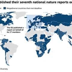Analysis: Half of nations meet UN deadline for nature-loss reporting