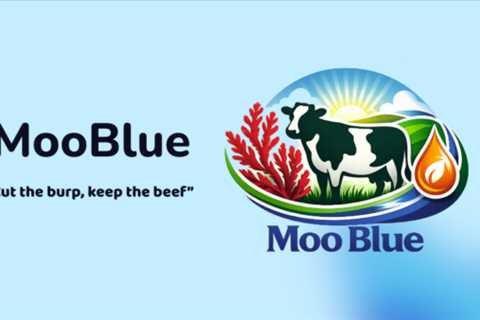 Sustainability In Your Ear: The MooBlue Team Keeps The Beef, Without The Burp