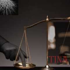 Judge Barrett and the Viciously Corrupt Colorado Courts Continue to Deny Justice and Persecute Tina ..