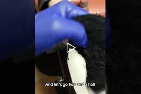 Three months is too long for nail check-ups. Let's schedule it for two and a half weeks instead